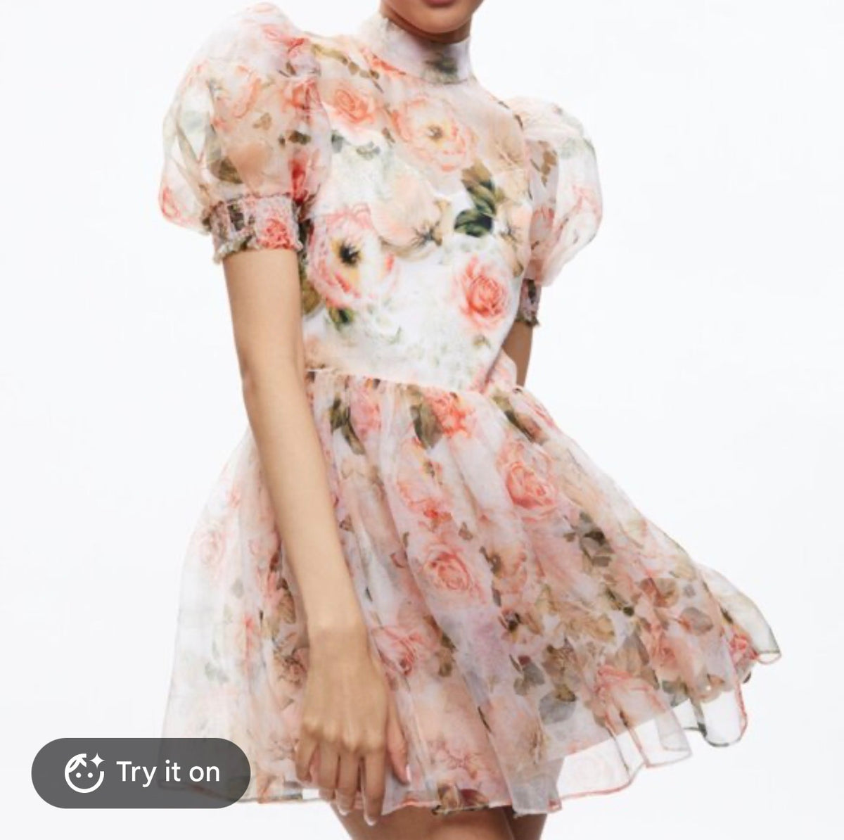 Alice + Olivia